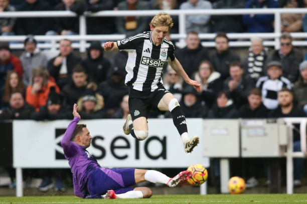 也让人们对 也让人们对